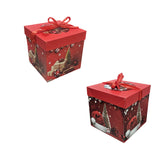 Χριστουγεννιάτικο Κουτί Δώρου με Κόκκινη Κορδέλα 30x30cm 12τμχ