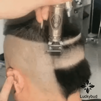 GIF 3