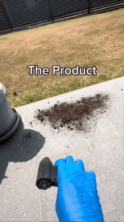GIF 2
