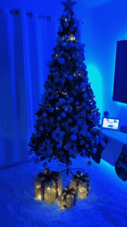GIF 2