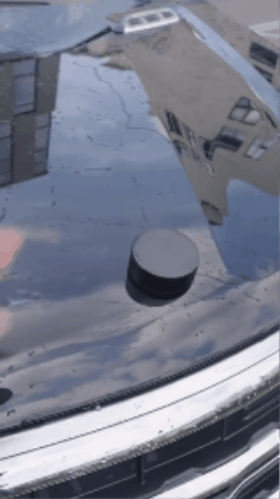 GIF 1