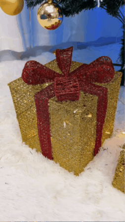 GIF 3