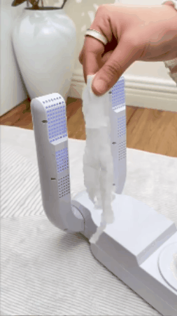 GIF 1