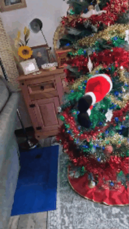 GIF 1
