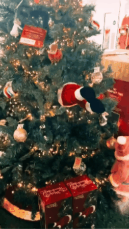 GIF 2