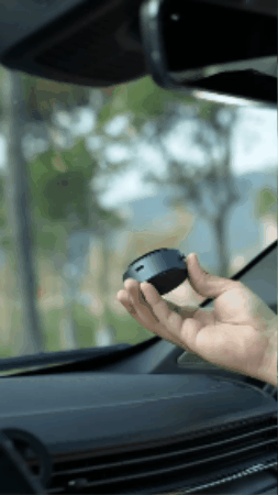 GIF 3