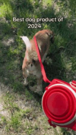 GIF 3