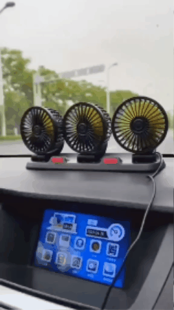 GIF 2