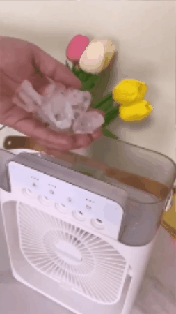 GIF 2