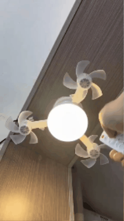 GIF 1