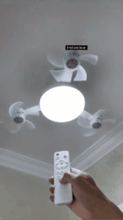 GIF 3