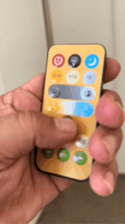 GIF 3