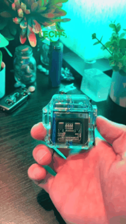 GIF 2