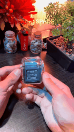 GIF 1