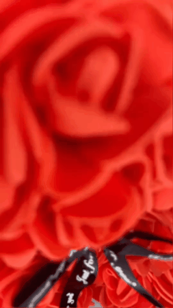 GIF 2