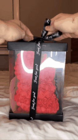GIF 1