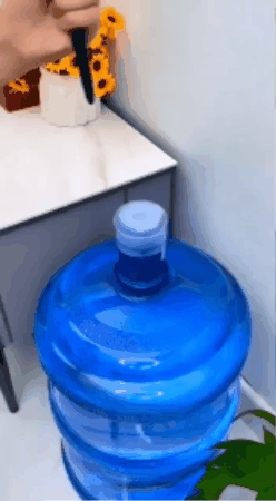 GIF 1