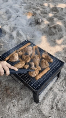GIF 3