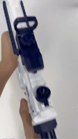 GIF 1