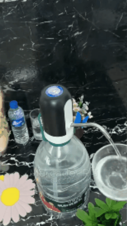 GIF 3