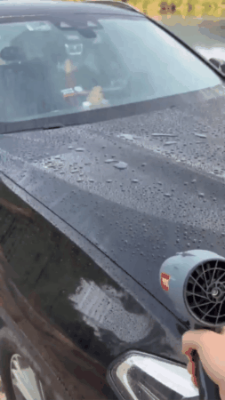 GIF 1