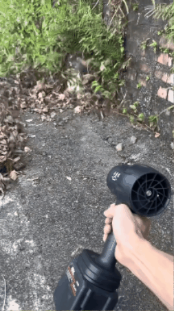 GIF 2