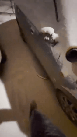 GIF 3