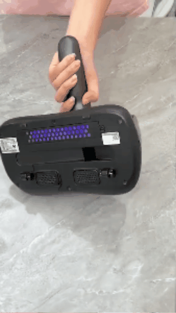 GIF 3