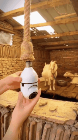 GIF 2