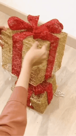 GIF 1