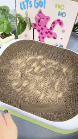 GIF 3