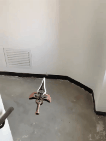 GIF 3