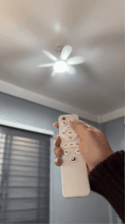 GIF 3
