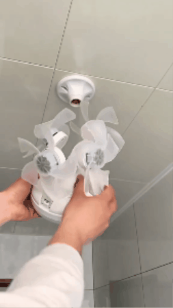 GIF 1