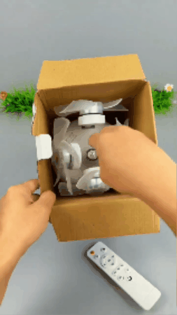 GIF 3