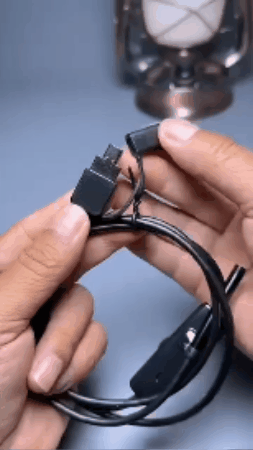 GIF 1