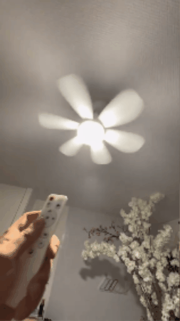 GIF 1